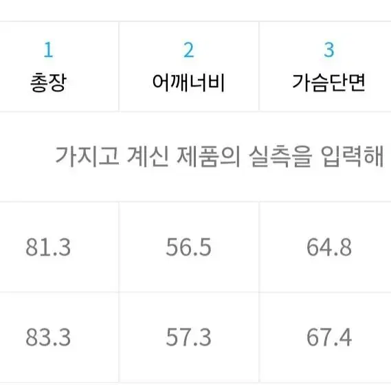 RAIVE 레이브 유니섹스 씨스루 셔츠 민트