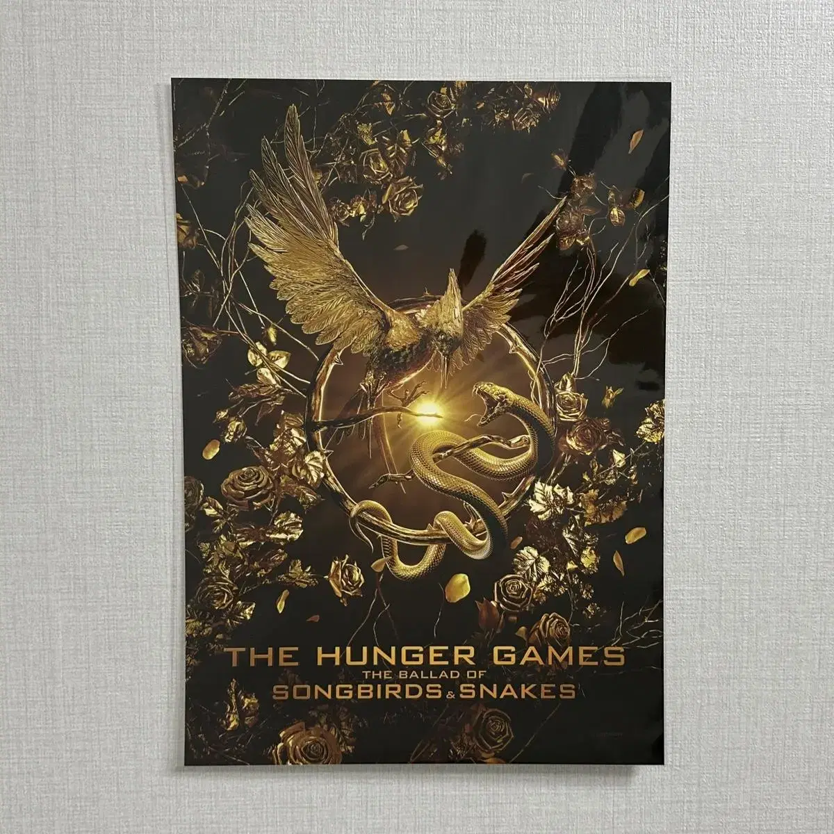 Hunger Games poster