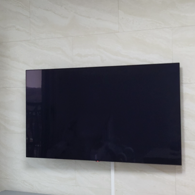 Lg oled tv 엘지 올레드 티비 55인치