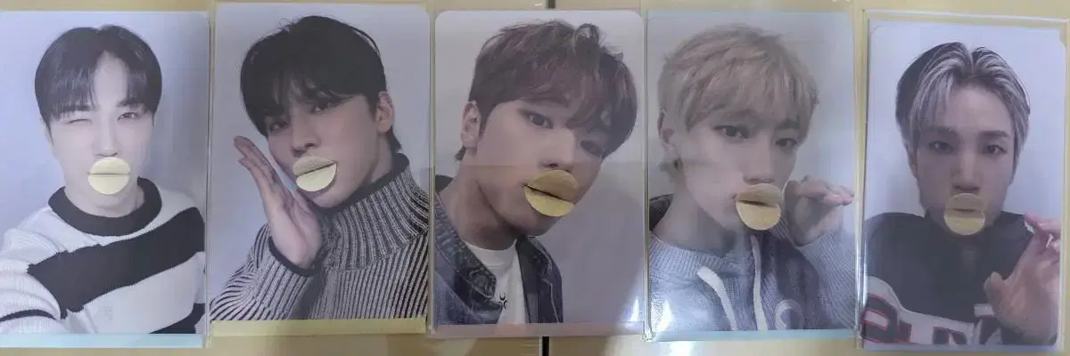 Vanner Potato Chip Duck Unreleased Photocard