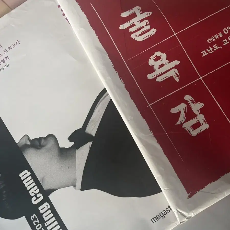 [23년도 모의고사 싸게 처분] 국어 수학 영어 생윤 사문 모의고사