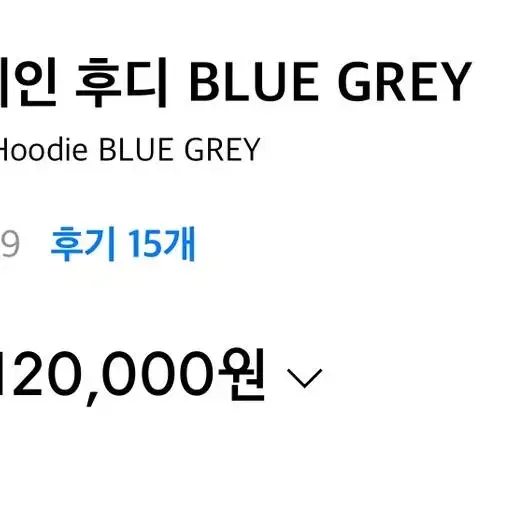 인사일런스 우먼 아플리케 캠페인 후디 BLUE GREY