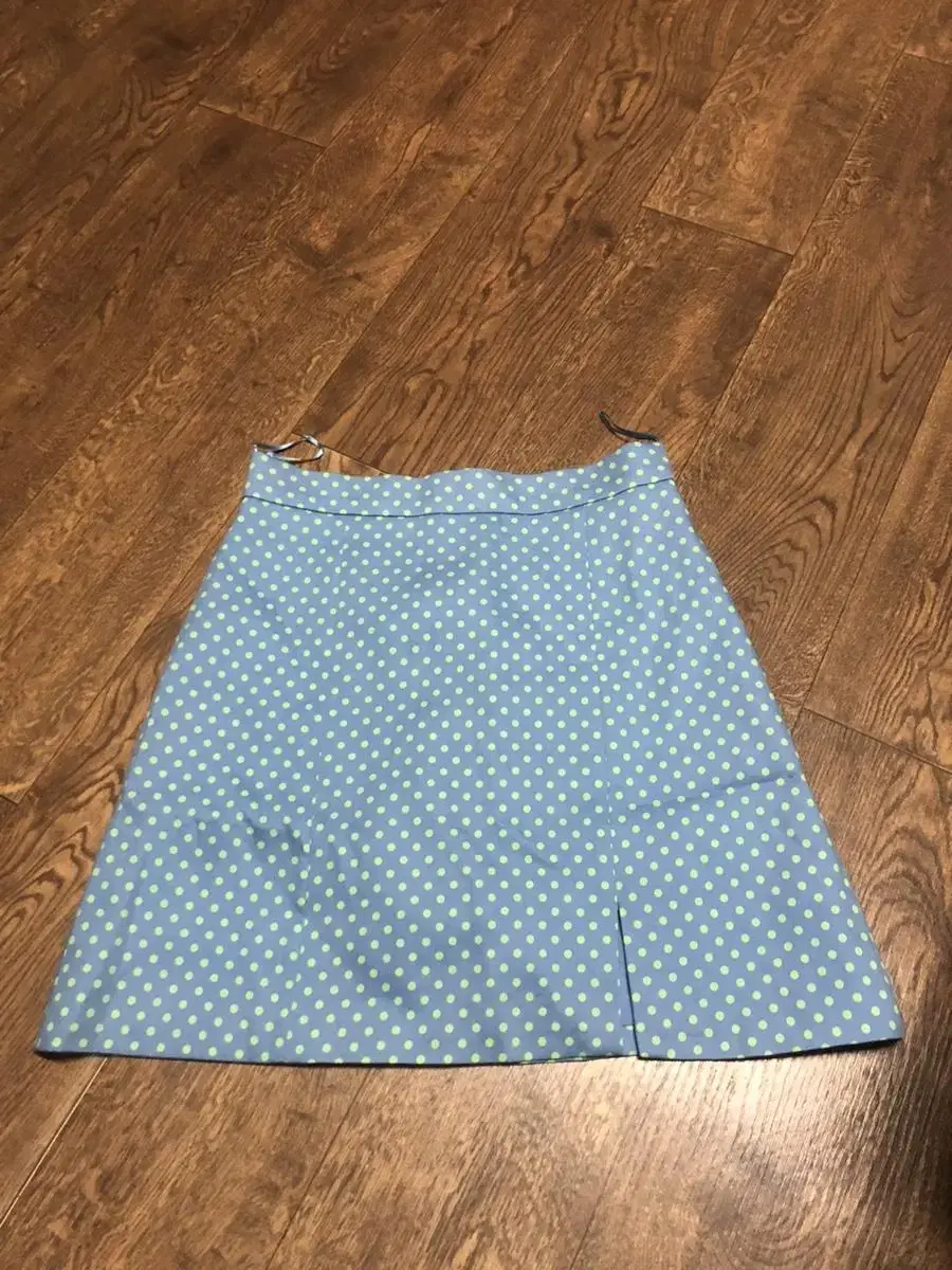 Zara Dot Mini Skirt