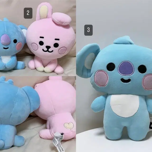 BT21 쿠키 코야 인형