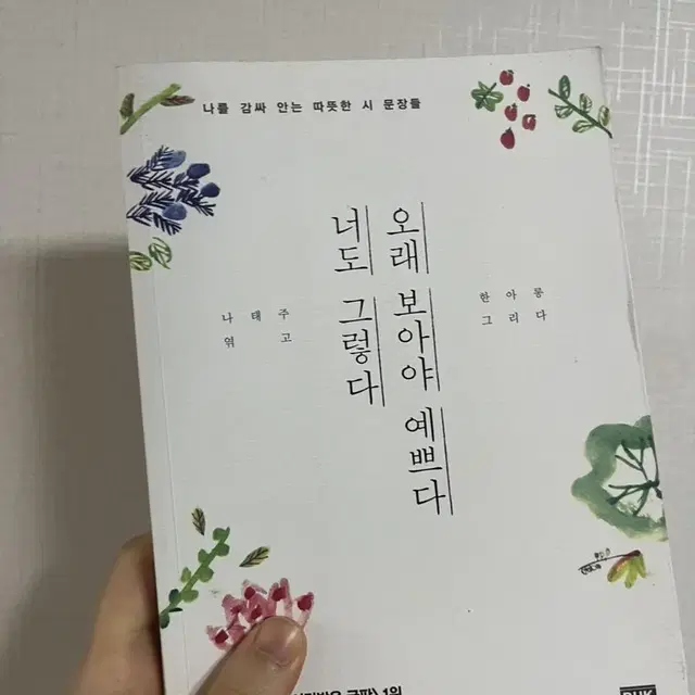 오래보아야 예쁘다 너도 그렇다 (나태주)