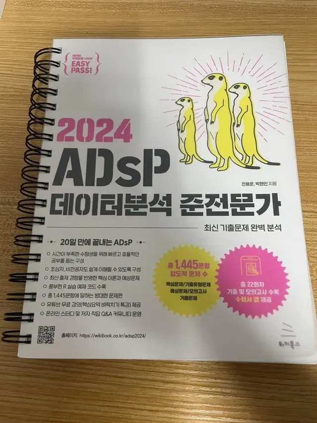 2024 adsp 미어캣 이지패스