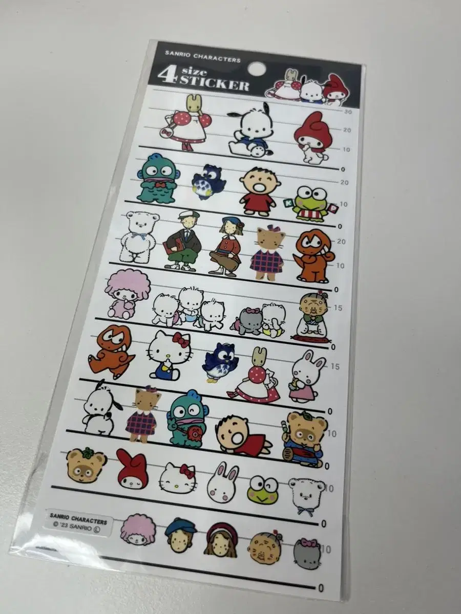 Sanrio Friends Size 4 Stickers