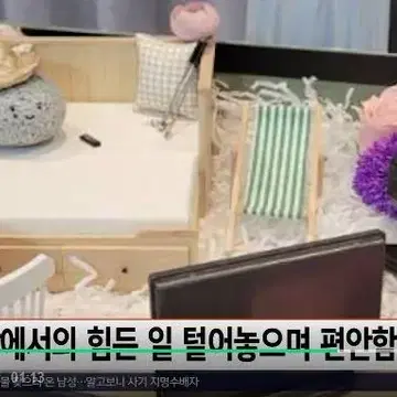 반려돌 애완돌 에그스톤 미우새 펫스톤 반려석 돌 키우기 | 브랜드