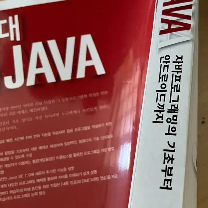 절대 java