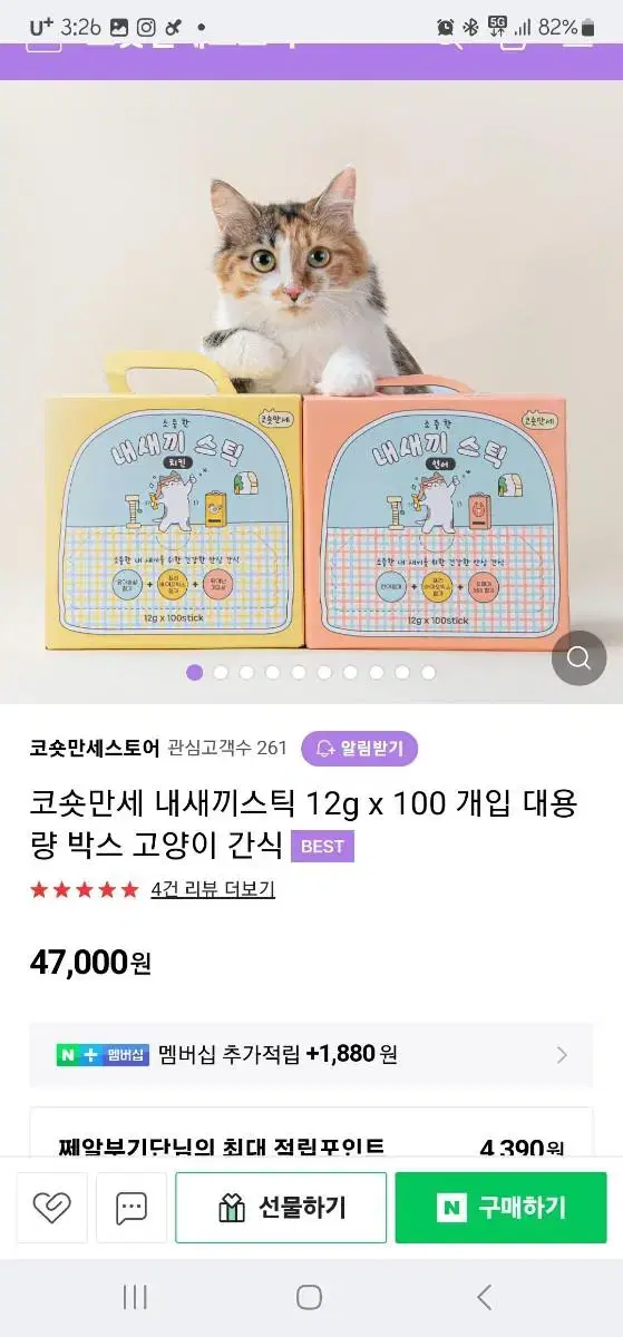 코숏만세 내새끼스틱 츄르 100개