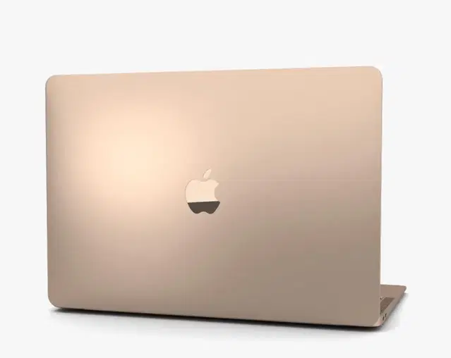 Apple Mac book Air 2018 year 256