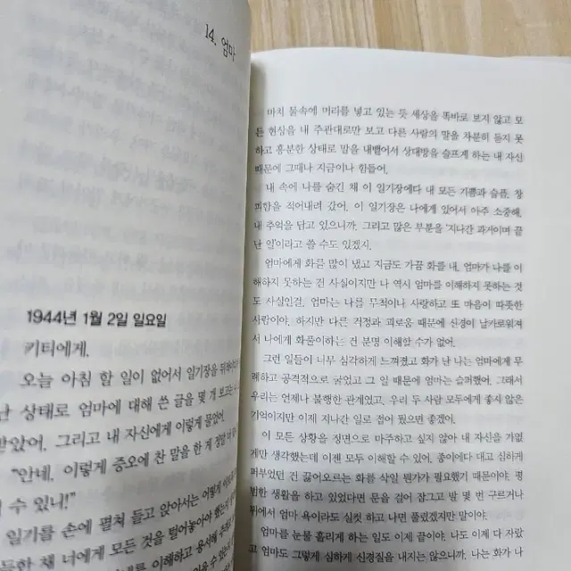 안네의 일기 ㅡ눈높이창의독서