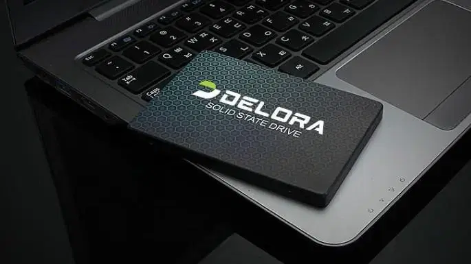 델로라 D2 SSD (DELORA D2 - 120GB)