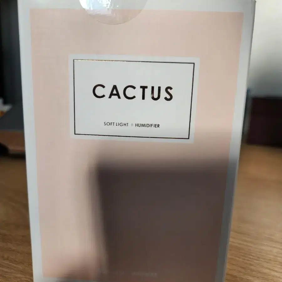 선인장 가습기 무드등 cactus