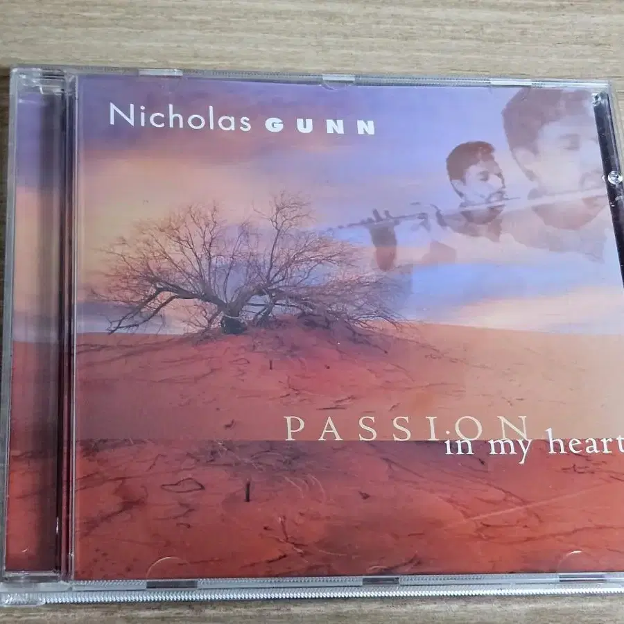 Nicholas Gunn - Passion In My Heart (수입C