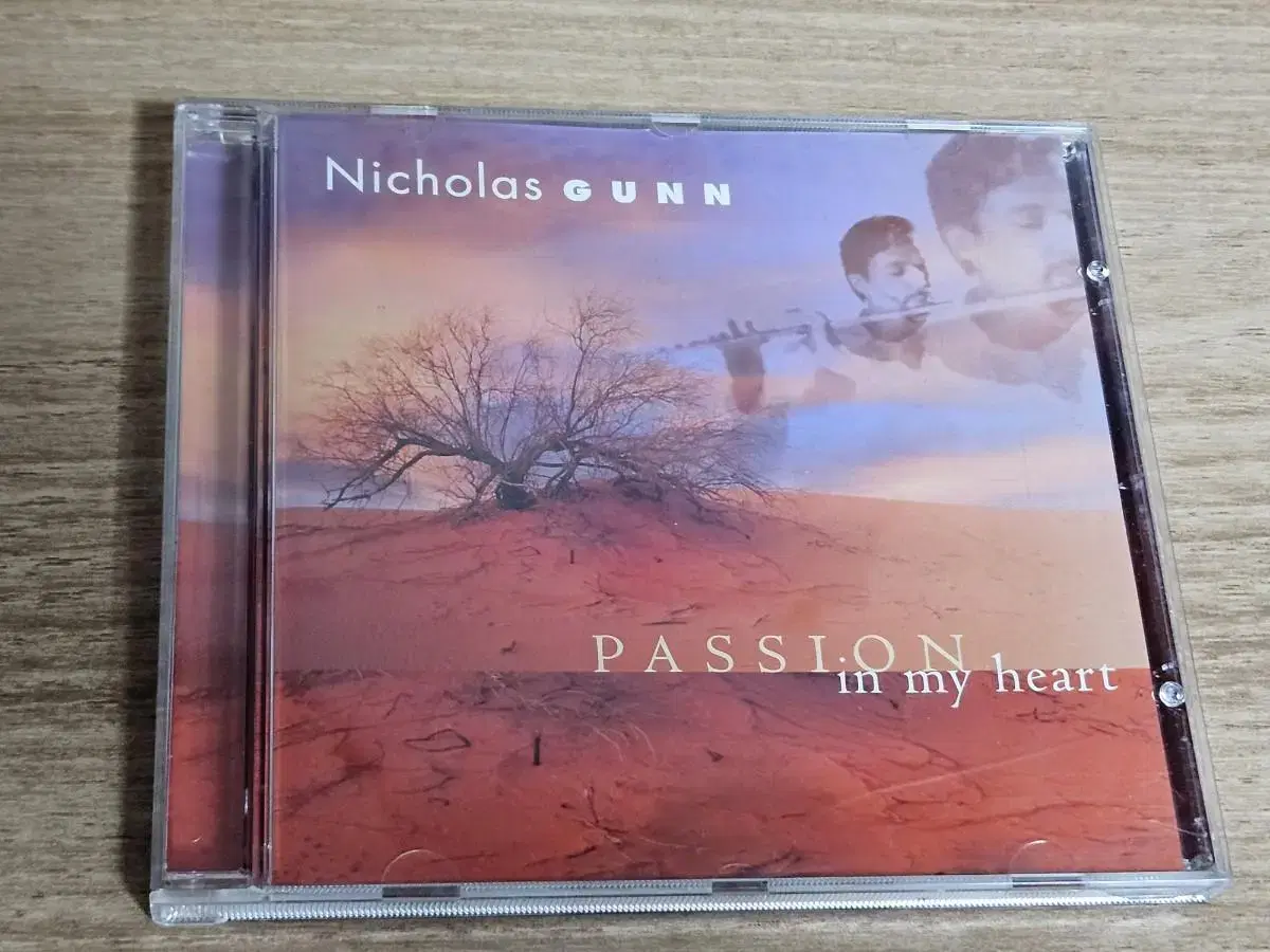 Nicholas Gunn - Passion In My Heart (ImportedC