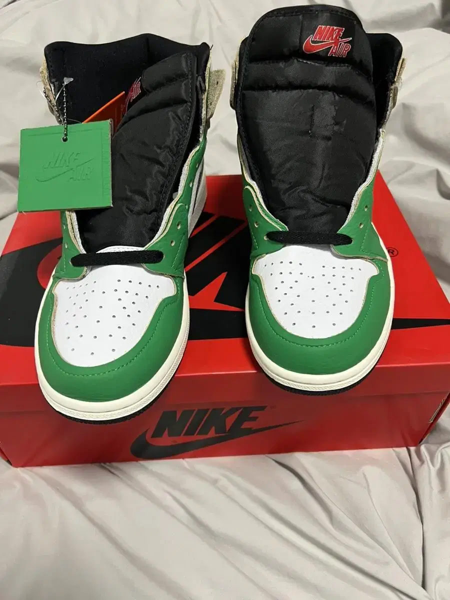 Jordan 1 Retro High OG Lucky Green 270