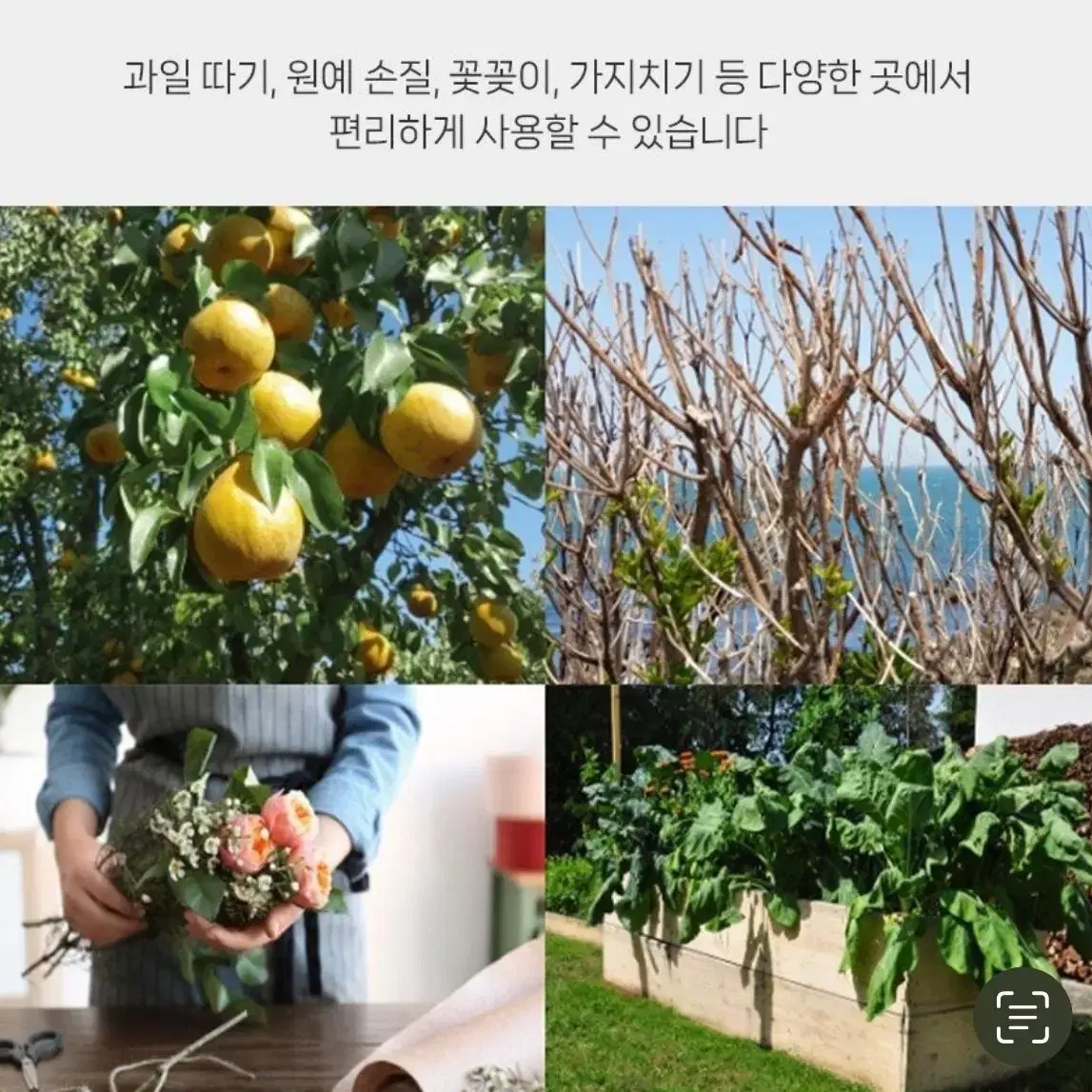 가지치기 가위 만원