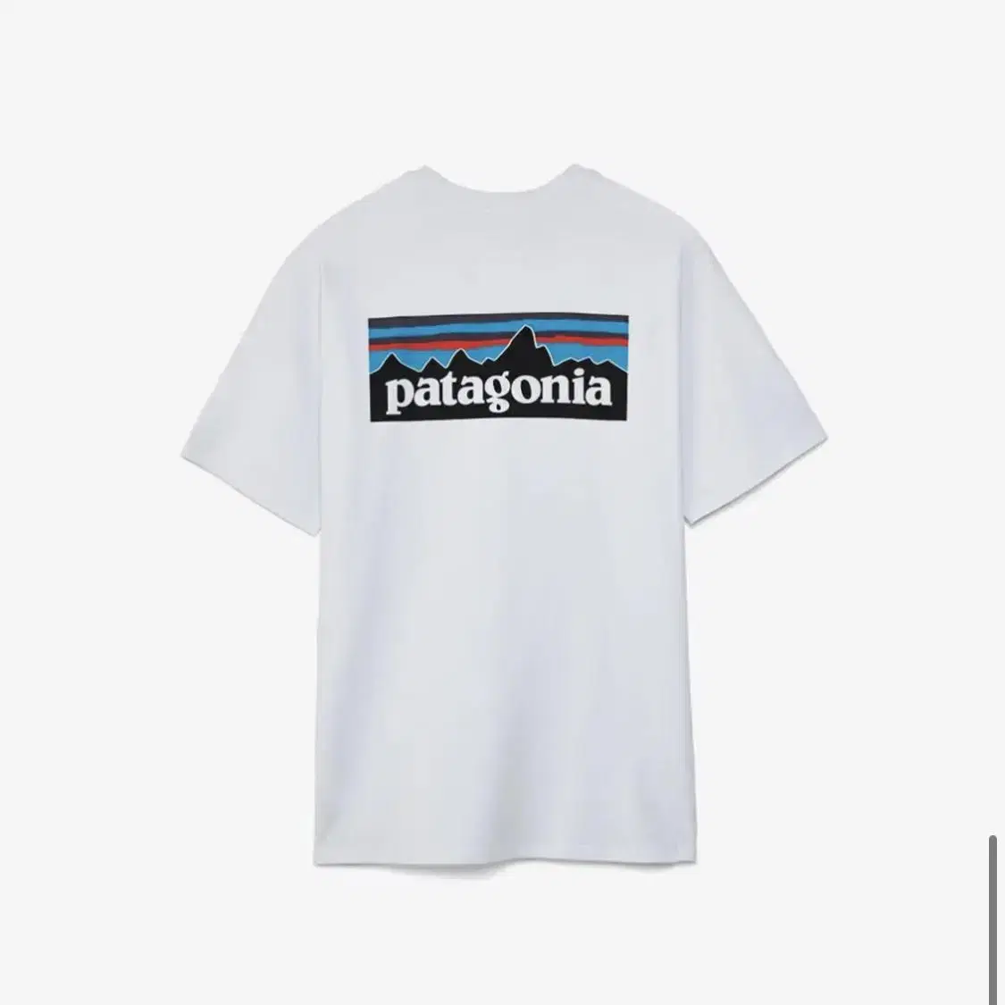 [새상품] 파타고니아 티셔츠 / PATAGONIA P-6 Logo