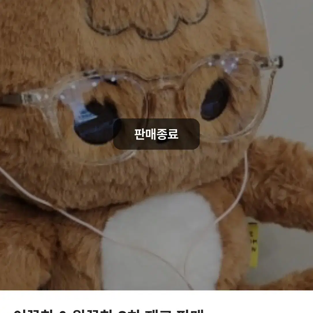 엔시티드림 해찬 인형 꼼찬 양도