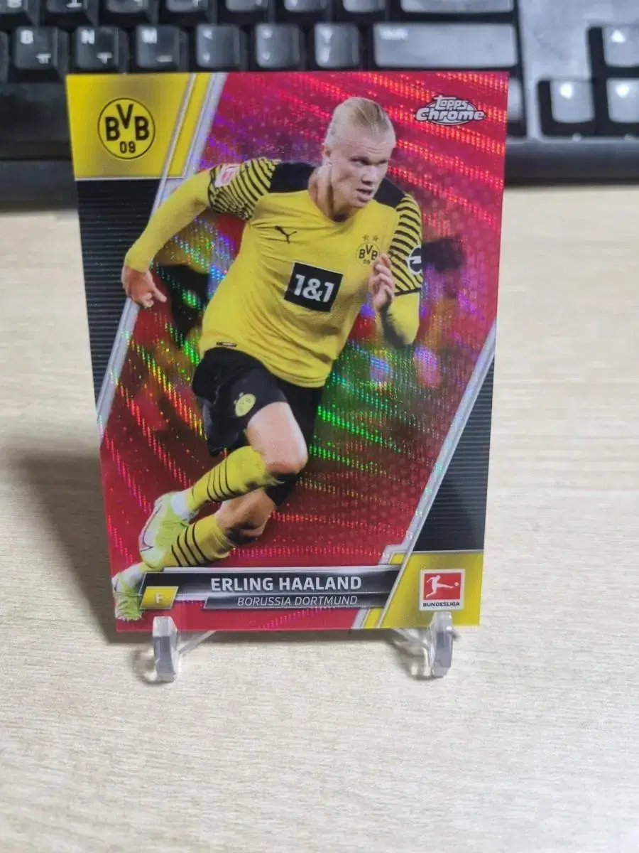 22 Topskrom 399 Limited Dortmund L.E.RING Holland Soccer Card