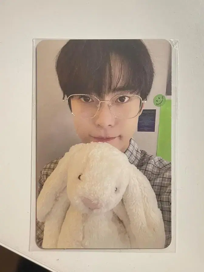 Rabbit Doyoung