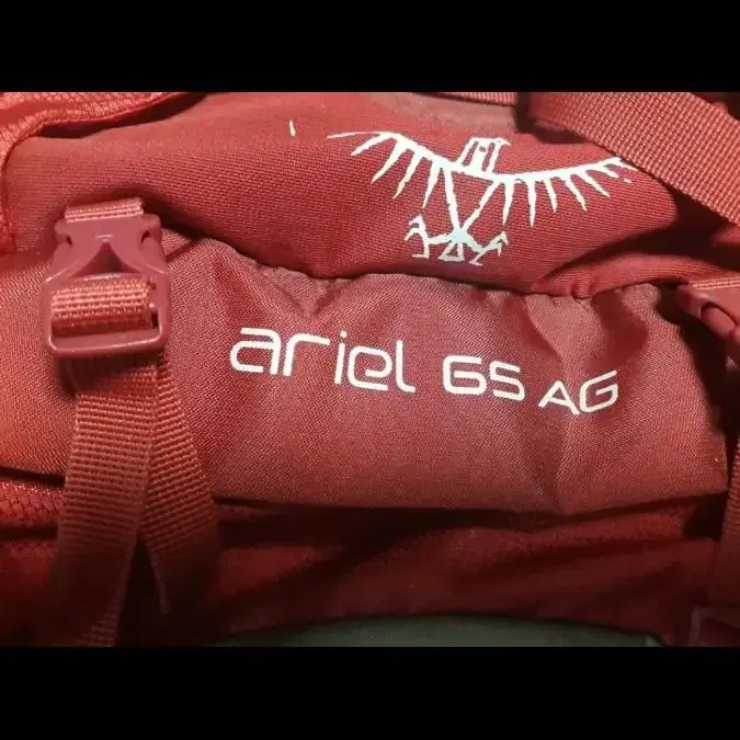 OSPREY arigl gs AG 배낭