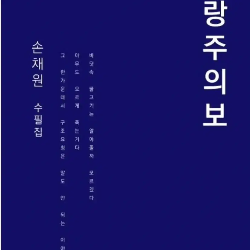 구해요) 손채원 파랑주의보