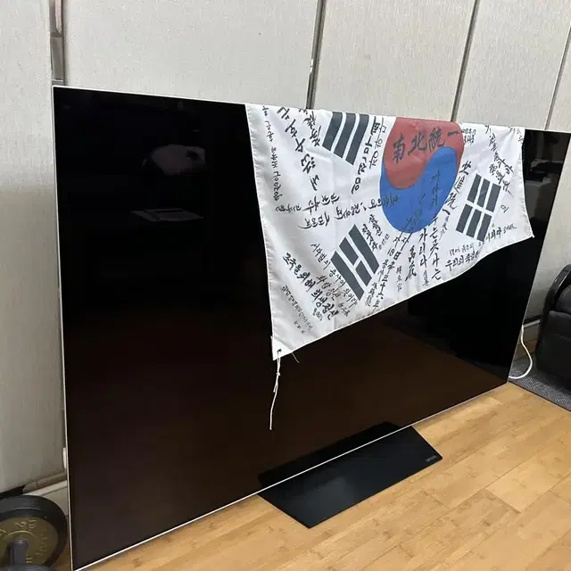 LG 65인치 OLED TV (올레드 티비)