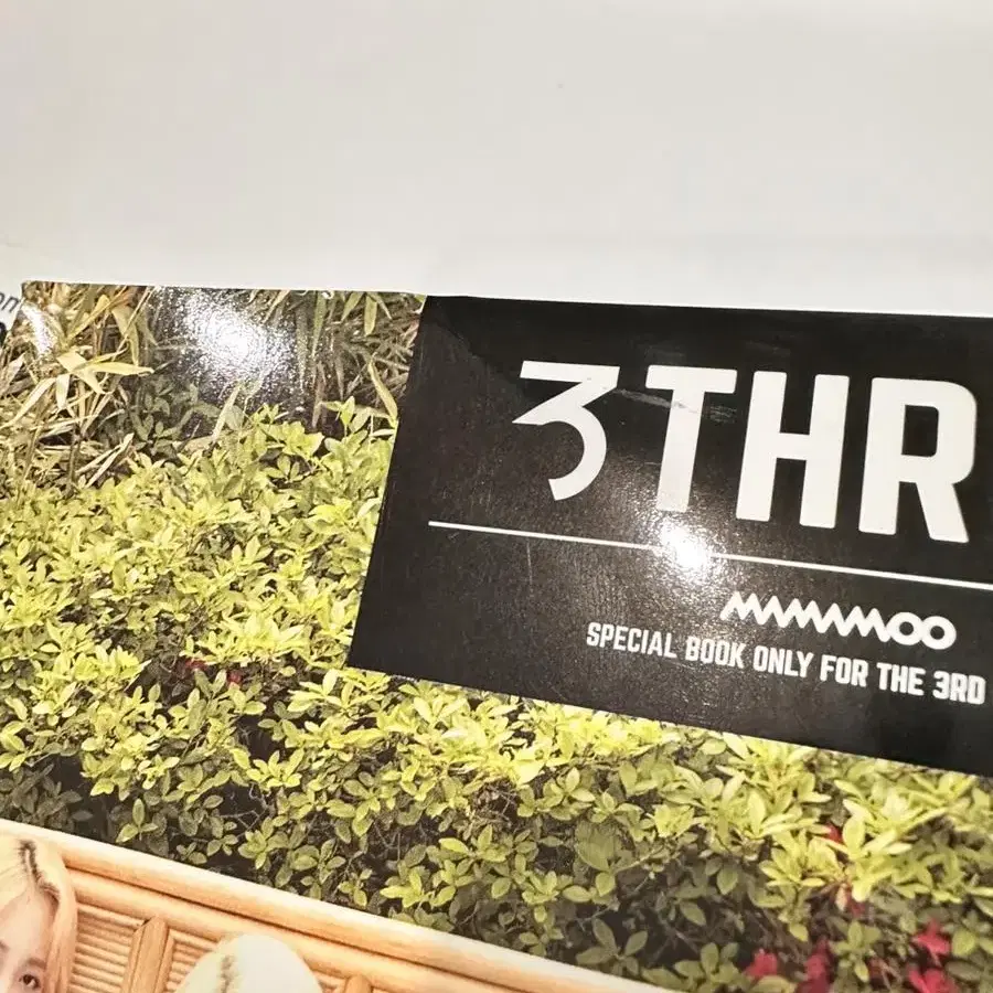 마마무 공식무무 3기