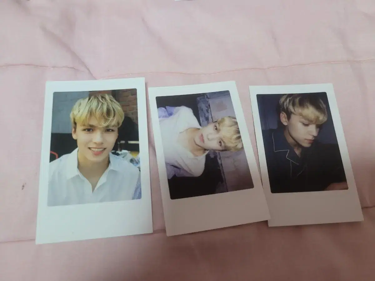 Seventeen Edgecorn @EdgecornPola photocard vernon in bulk