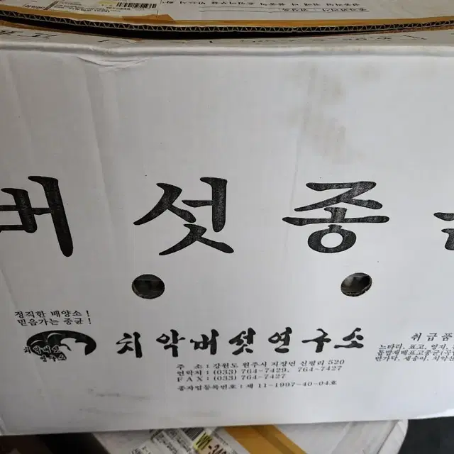 버섯종균 느타리 표고 병느타리