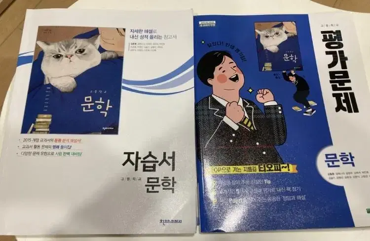 고2 천재교과서 문학 평가문제집, 자습서 일괄