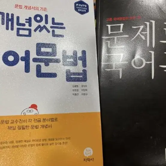 개념있는 국어문법 + 문제로 국어문법