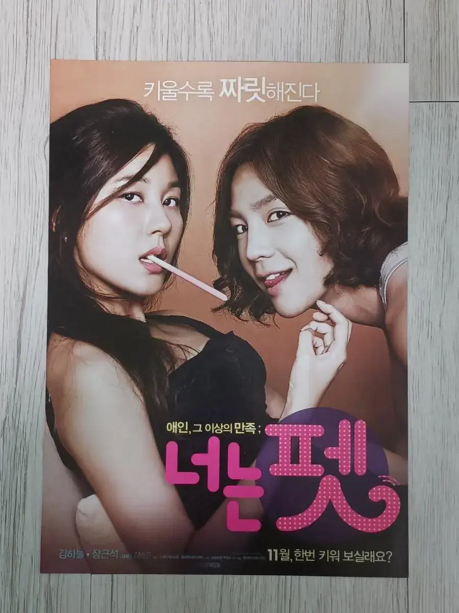 김하늘 장근석 너는펫(2011년)전단지