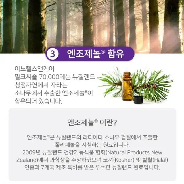 뉴질랜드 밀크씨슬 70000 밀크시슬 2개