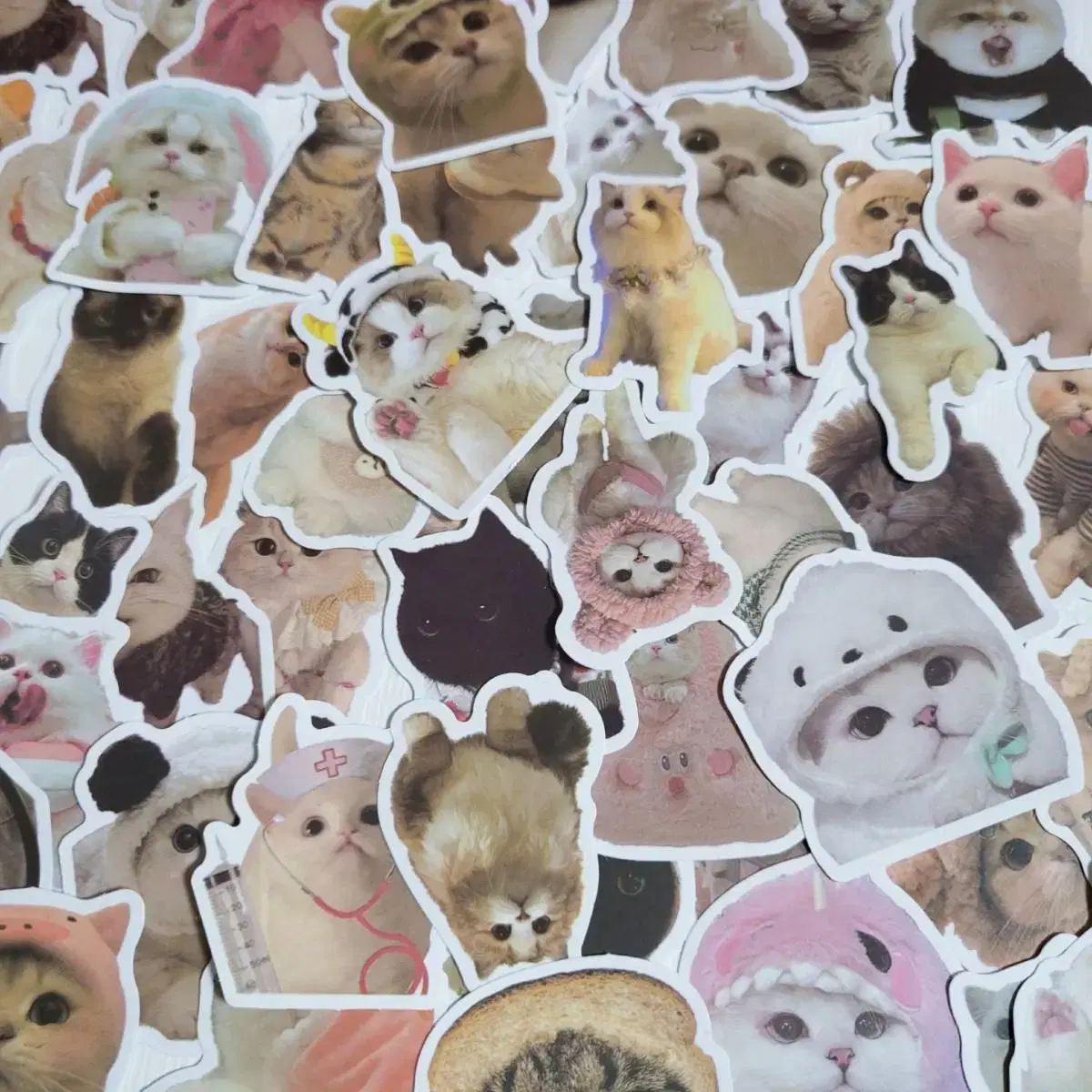 강아지 고양이 조각스티커 60pcs