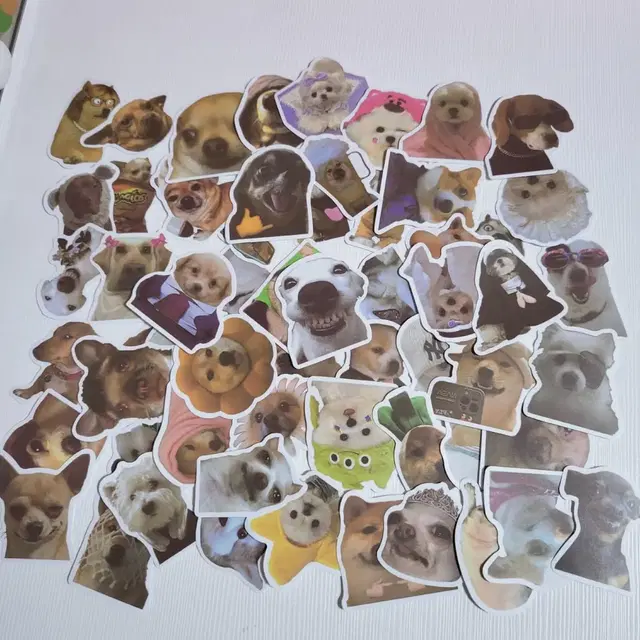 강아지 고양이 조각스티커 60pcs