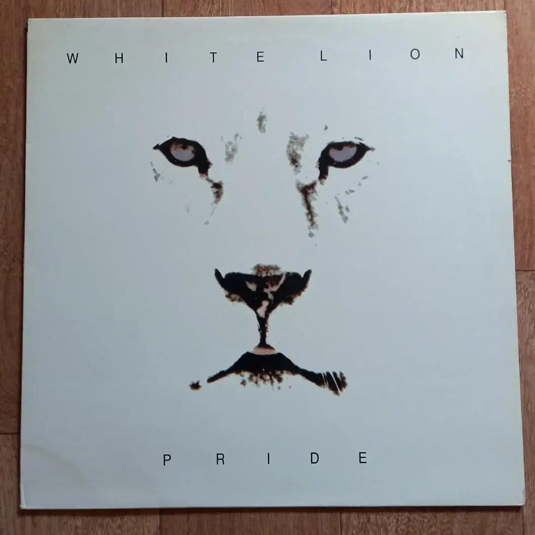 white lion lp 화이트라이온 엘피