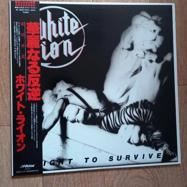 white lion lp 화이트라이온 일본반 엘피