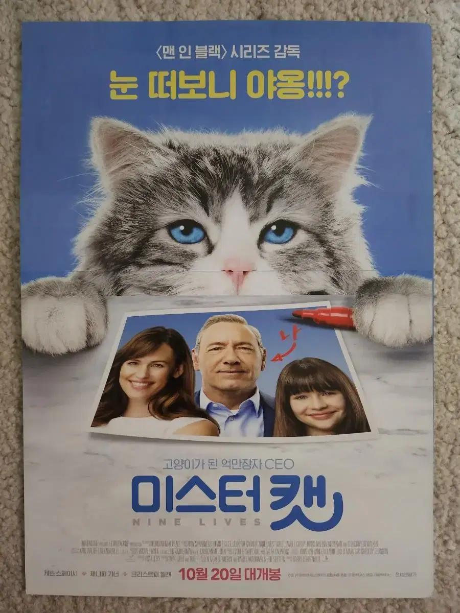 Movie Pamphlet Movie Flyer Mr. Cat