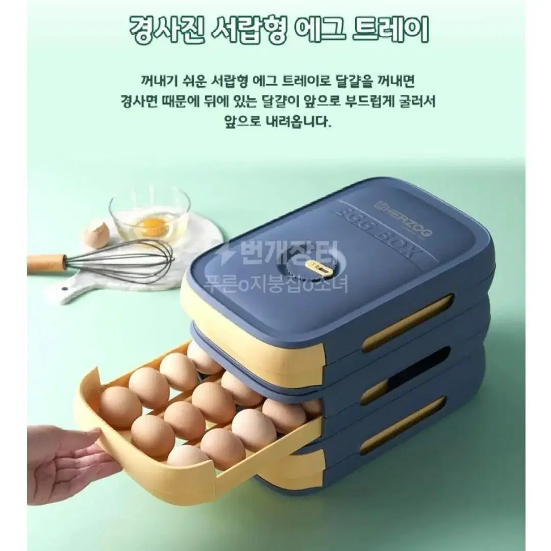 헤르조그 달걀 보관함