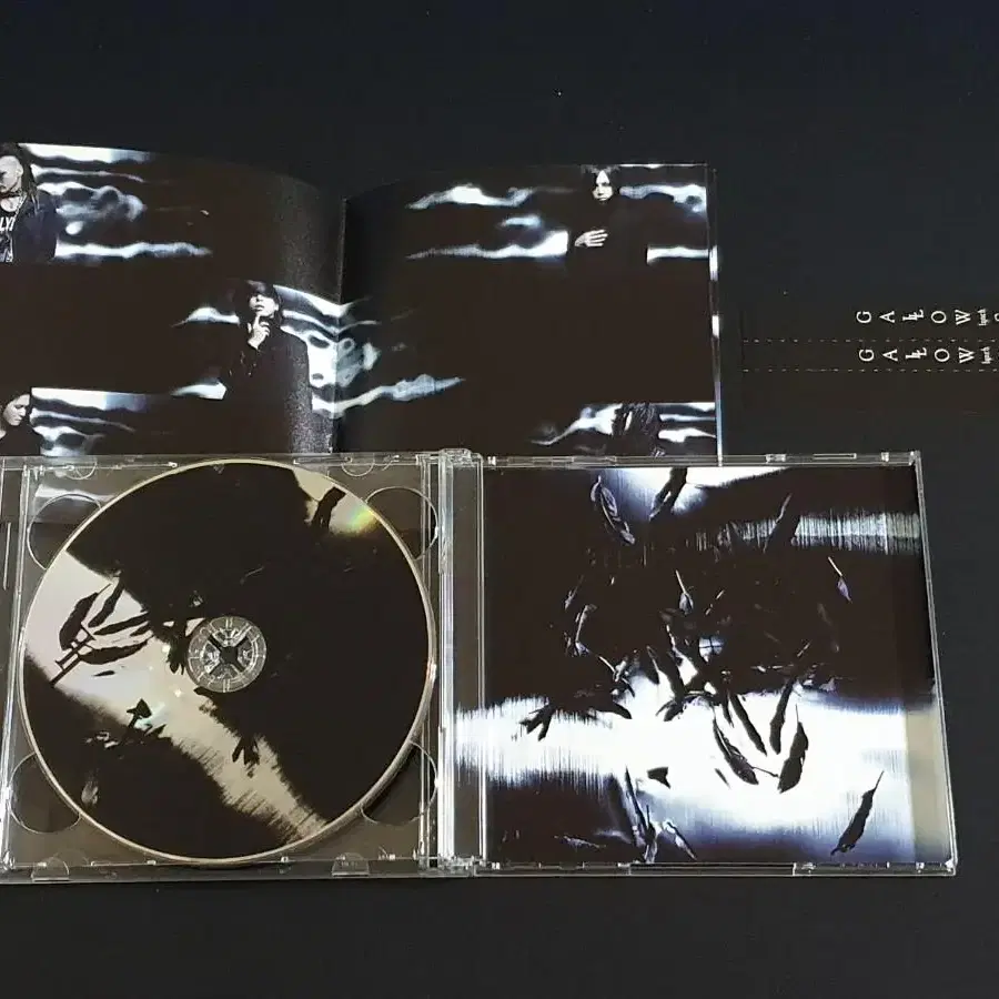 비주얼계 메탈코어밴드 lynch 린치 앨범 GALLOWS (CD+DVD)