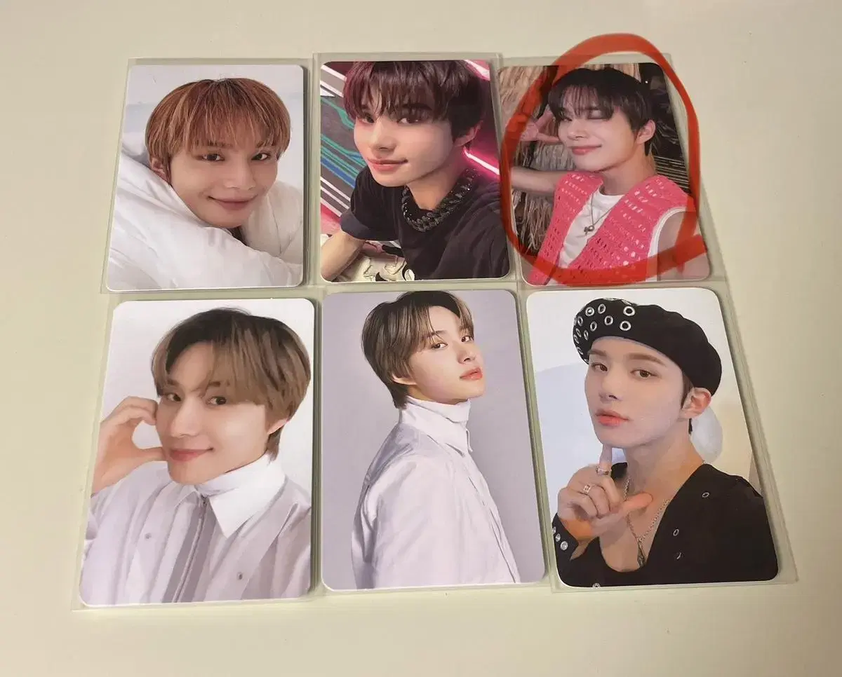 jungwoophotocardbulk