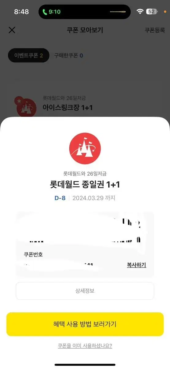 롯데월드 종일권,아이스링크장1+1