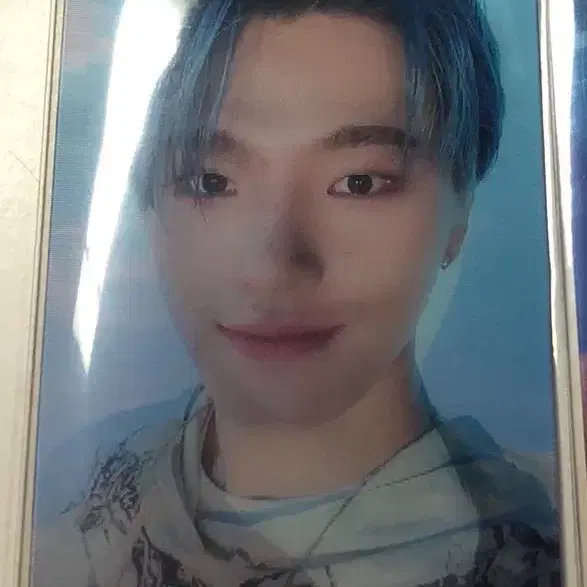 세븐틴 헌혈 렌티큘러 포카 디노