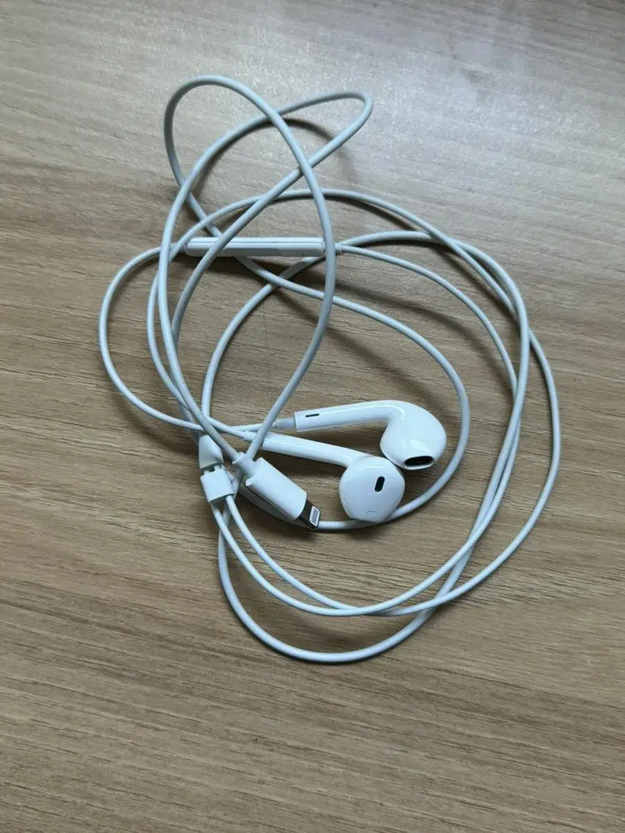 Original iPhone 8-pin earphones