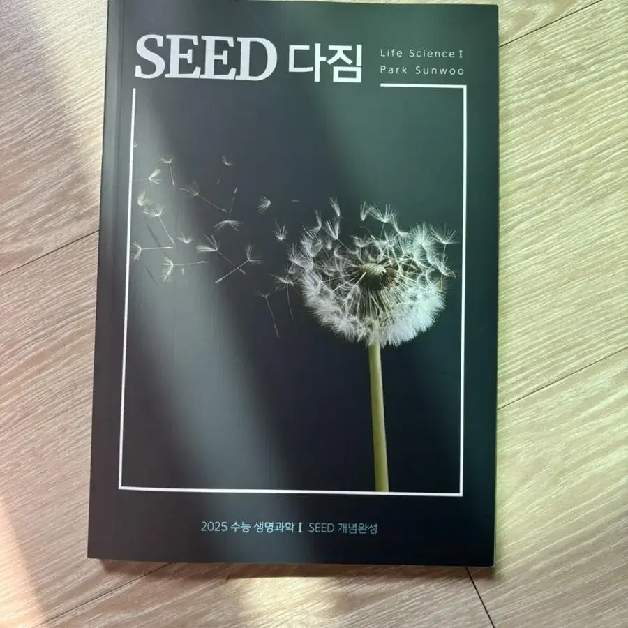 박선우 시드 씨드 seed 다짐노트