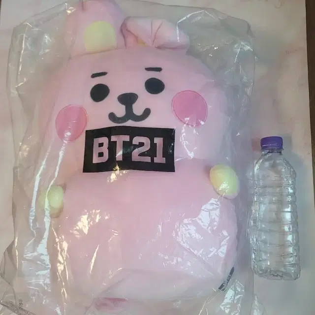 [무배] BT21 베이비 더블핸드워머쿠션 쿠키