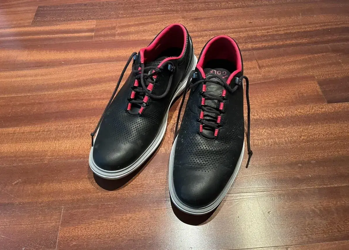 Nike Golf JordanADG4 270